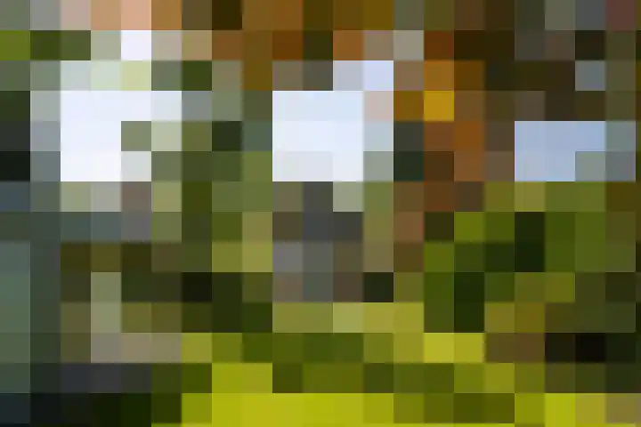 Regentesselaan 11 Zeist thumbnail 24