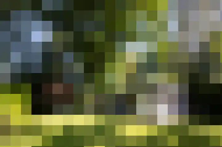 Regentesselaan 11 Zeist thumbnail 25