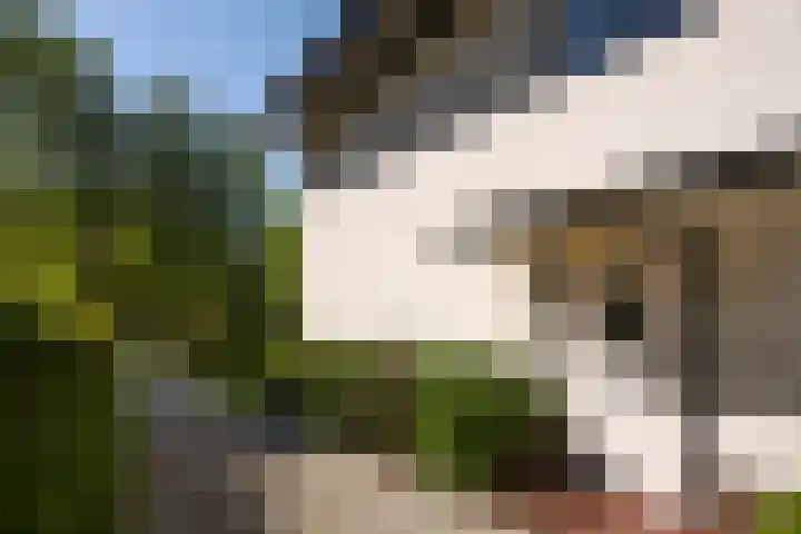 Regentesselaan 11 Zeist thumbnail 28