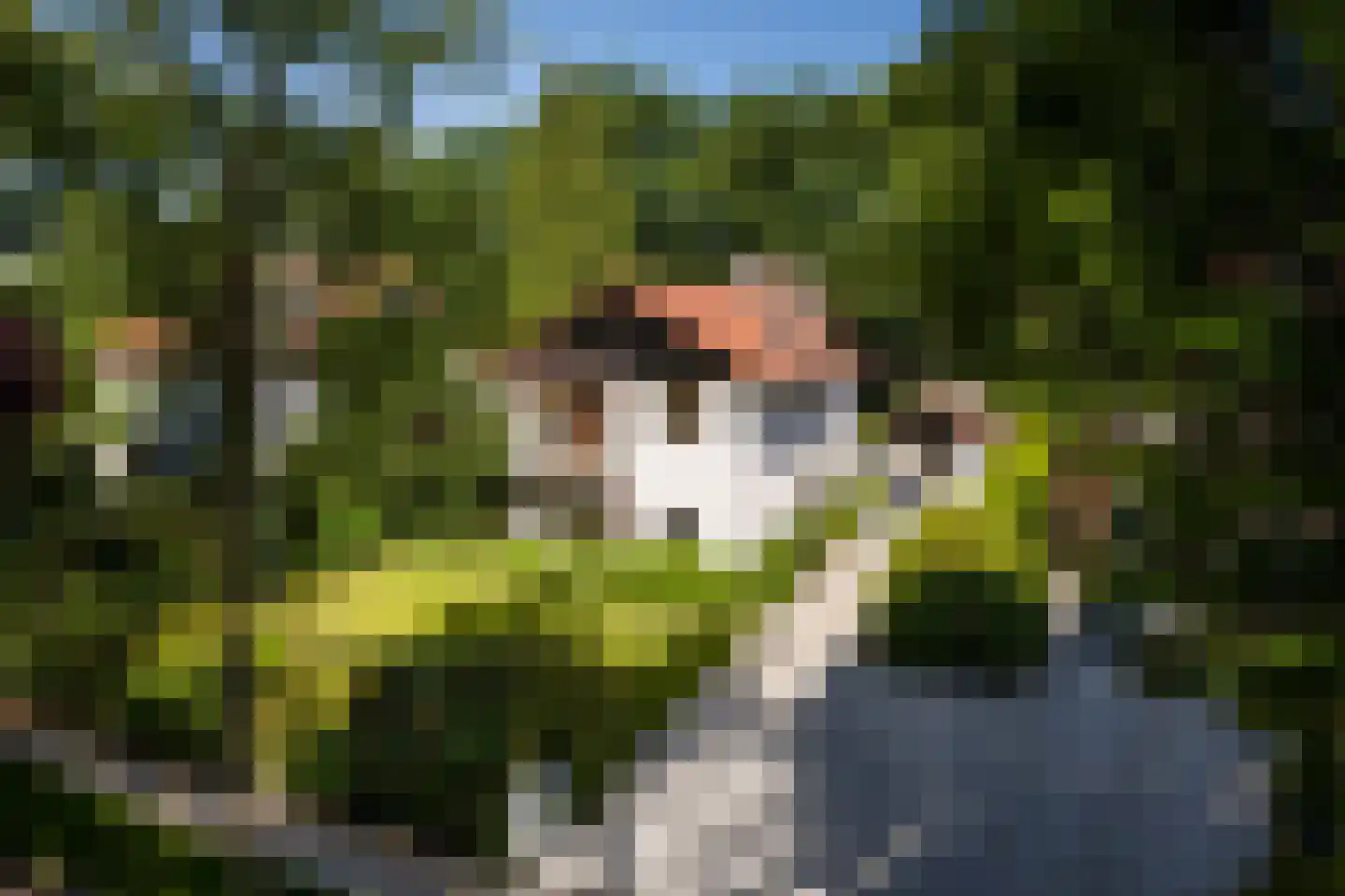Regentesselaan 11 Zeist thumbnail 29