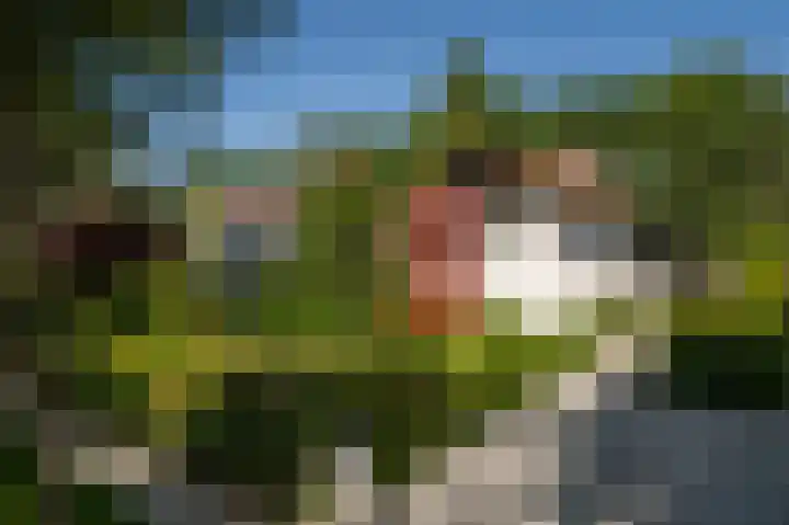 Regentesselaan 11 Zeist thumbnail 30