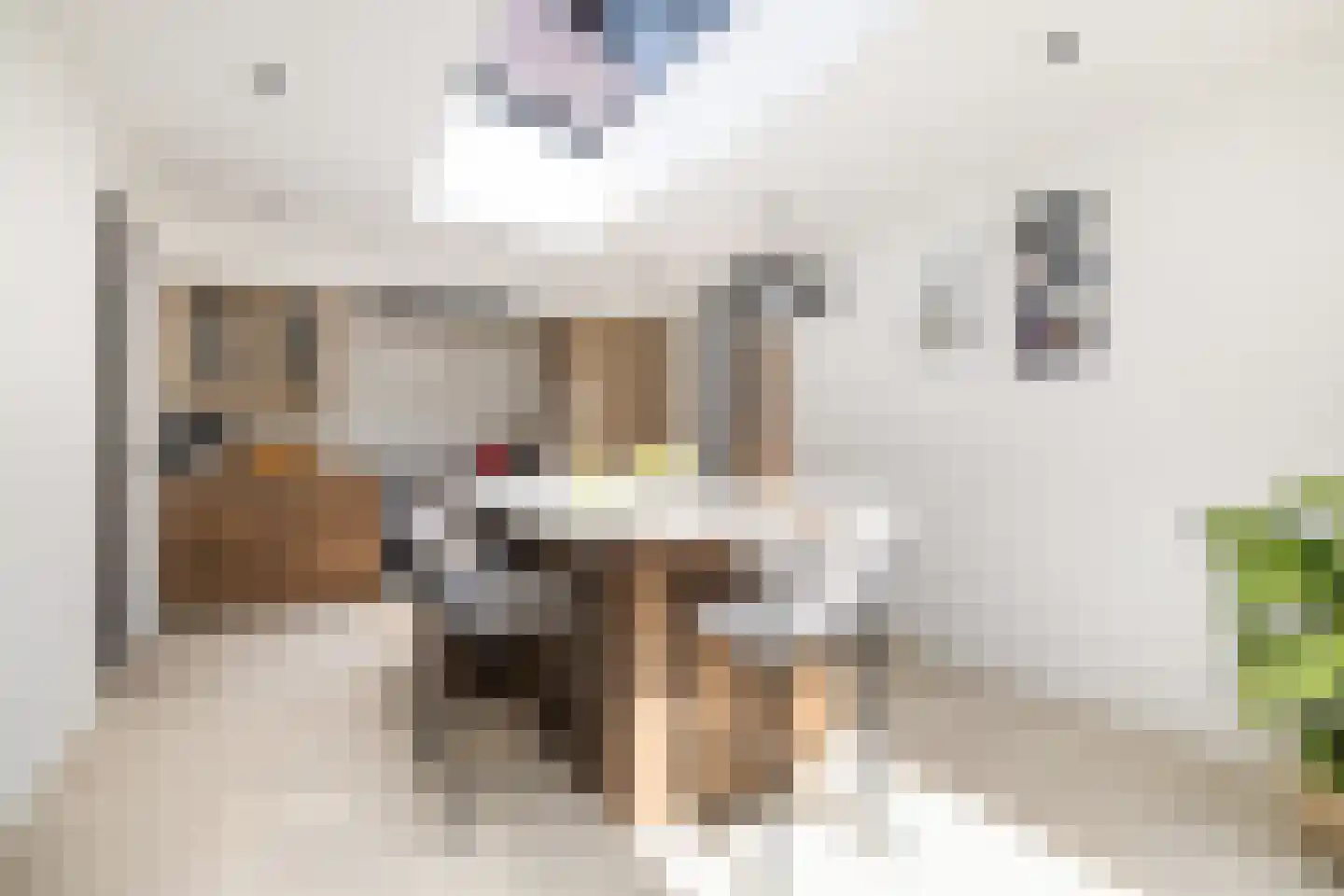 Regentesselaan 12 Ermelo thumbnail 16
