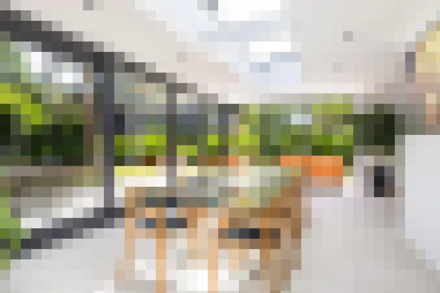 Regentesselaan 12 Ermelo thumbnail 20