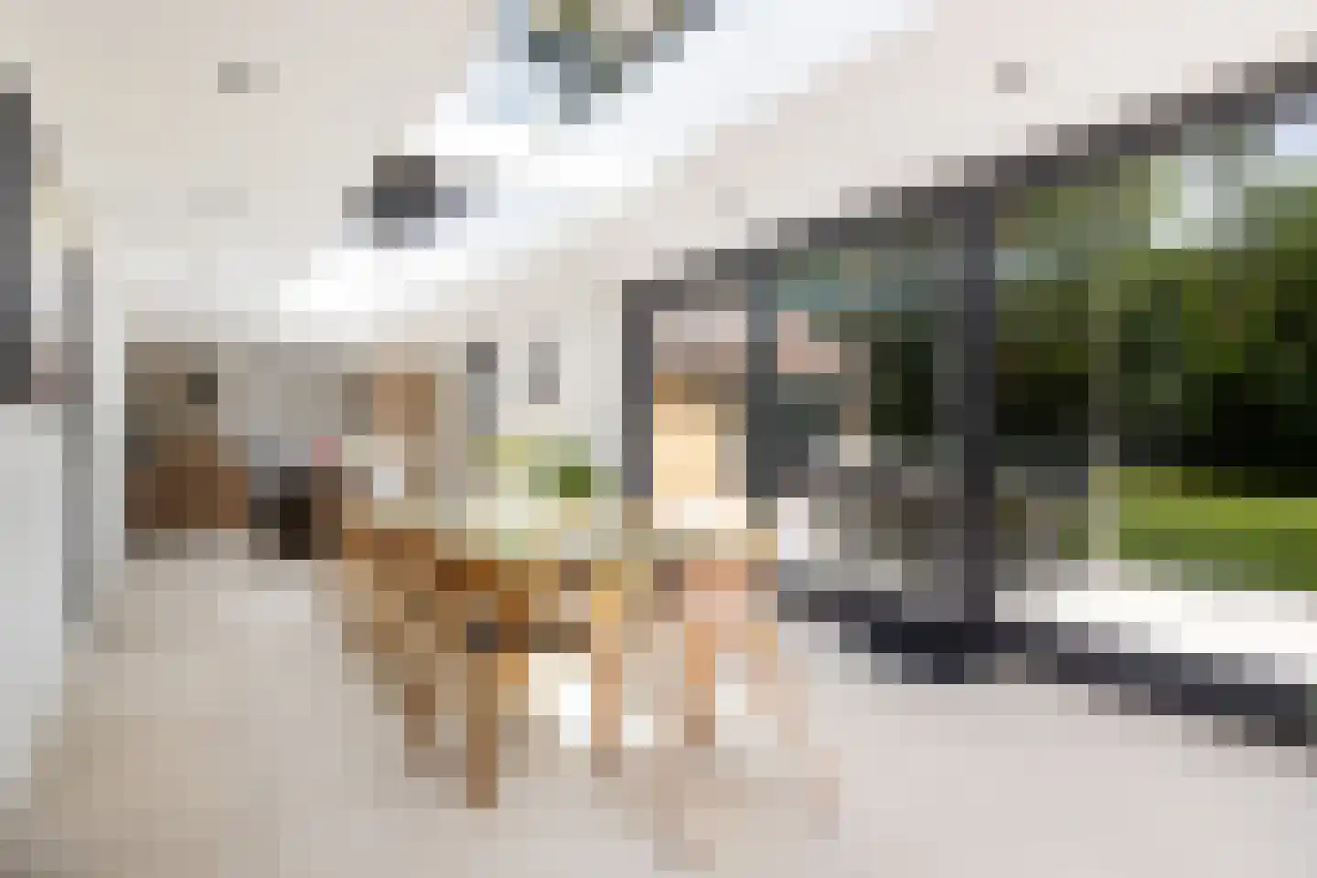 Regentesselaan 12 Ermelo thumbnail 22