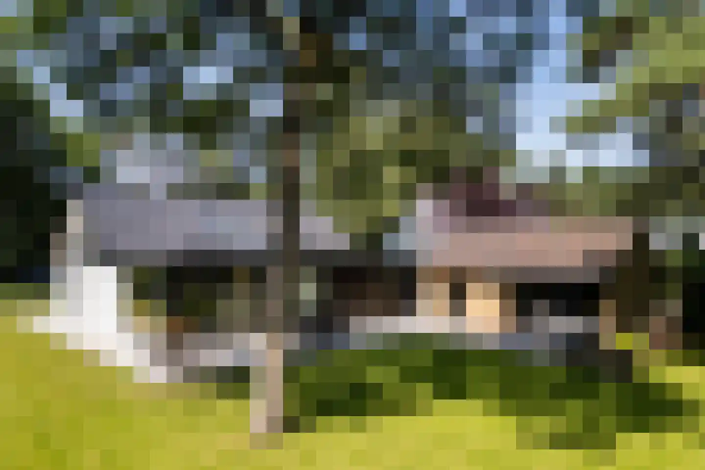 Regentesselaan 12 Ermelo thumbnail 40