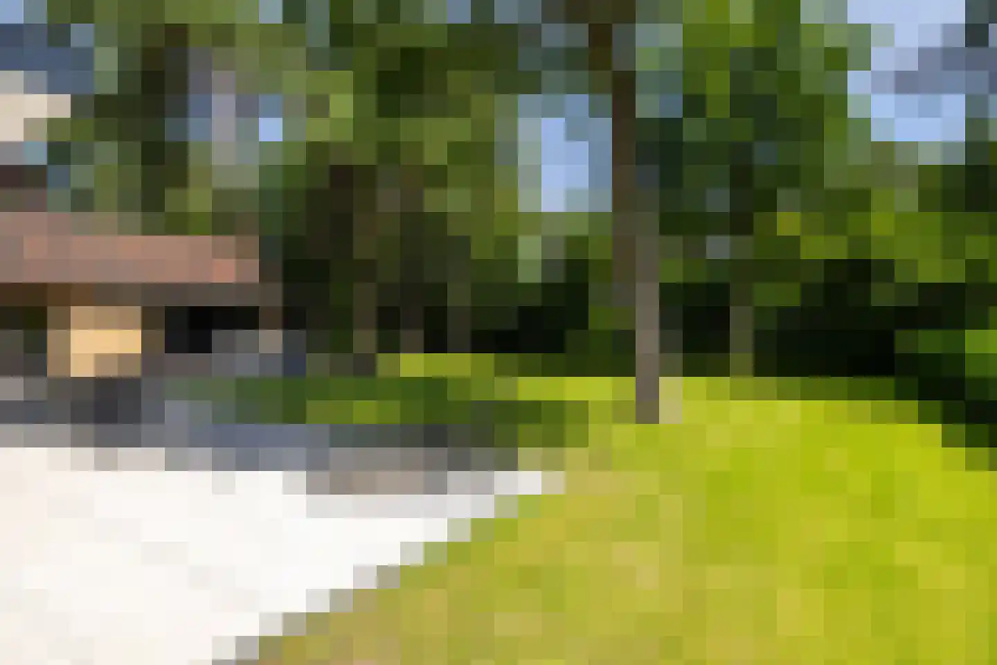 Regentesselaan 12 Ermelo thumbnail 44