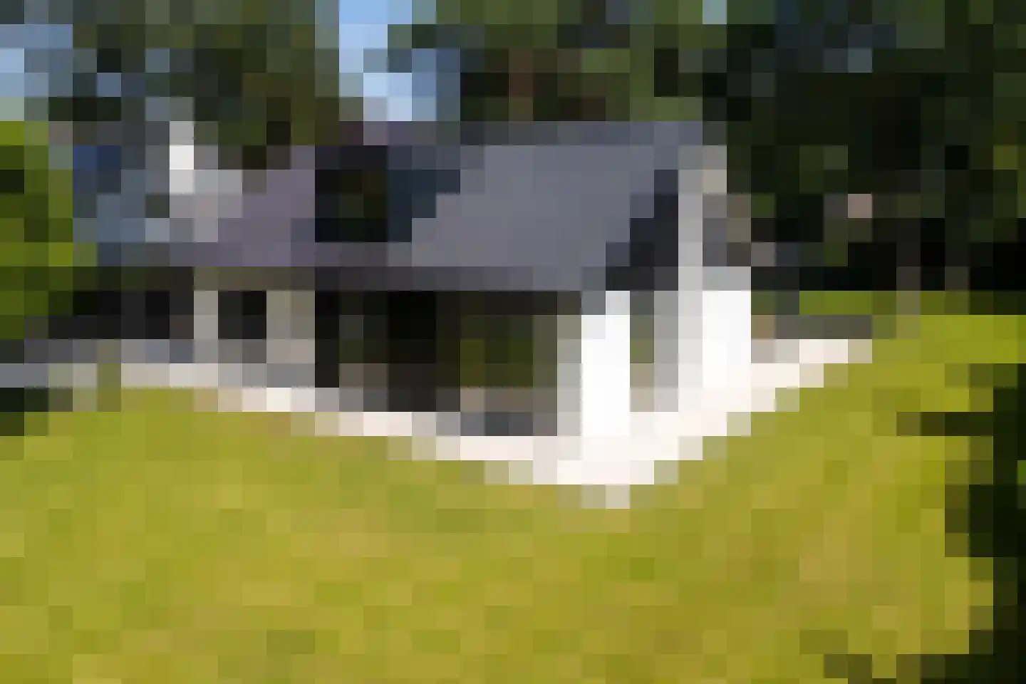 Regentesselaan 12 Ermelo thumbnail 46