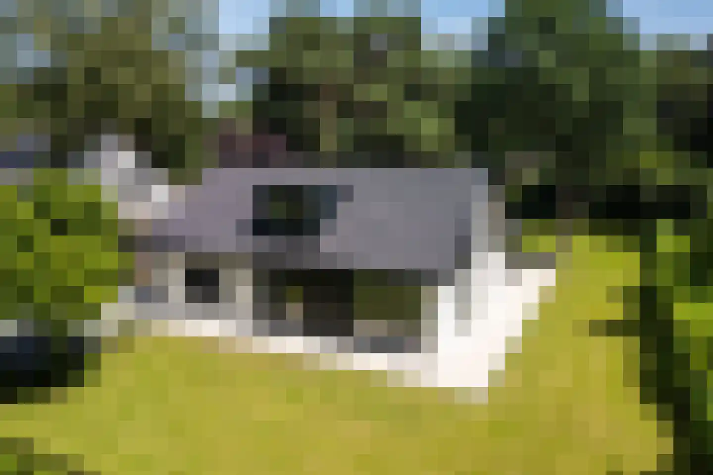 Regentesselaan 12 Ermelo thumbnail 49
