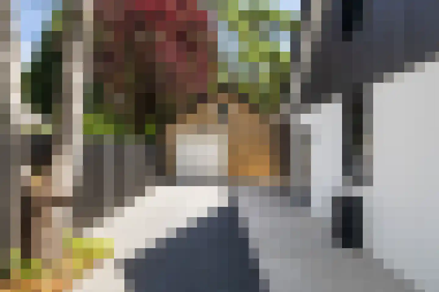 Regentesselaan 12 Ermelo thumbnail 5