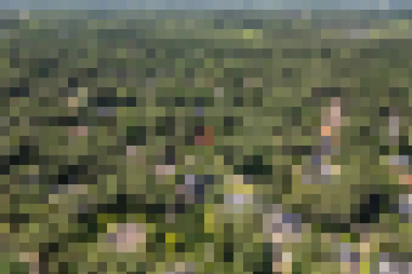 Regentesselaan 12 Ermelo thumbnail 50