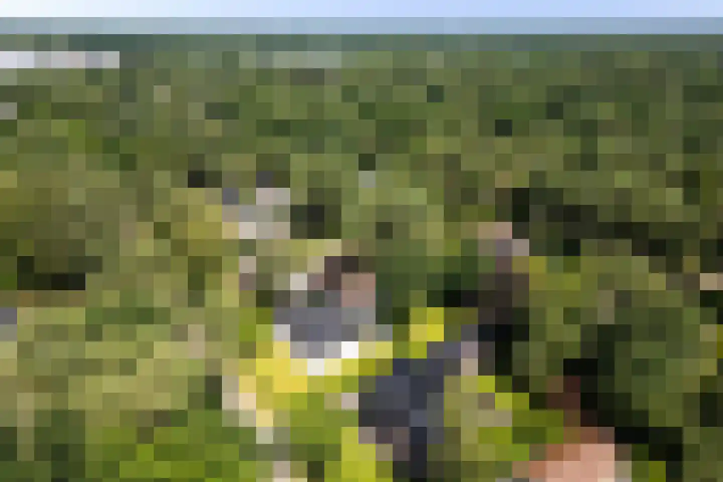Regentesselaan 12 Ermelo thumbnail 51