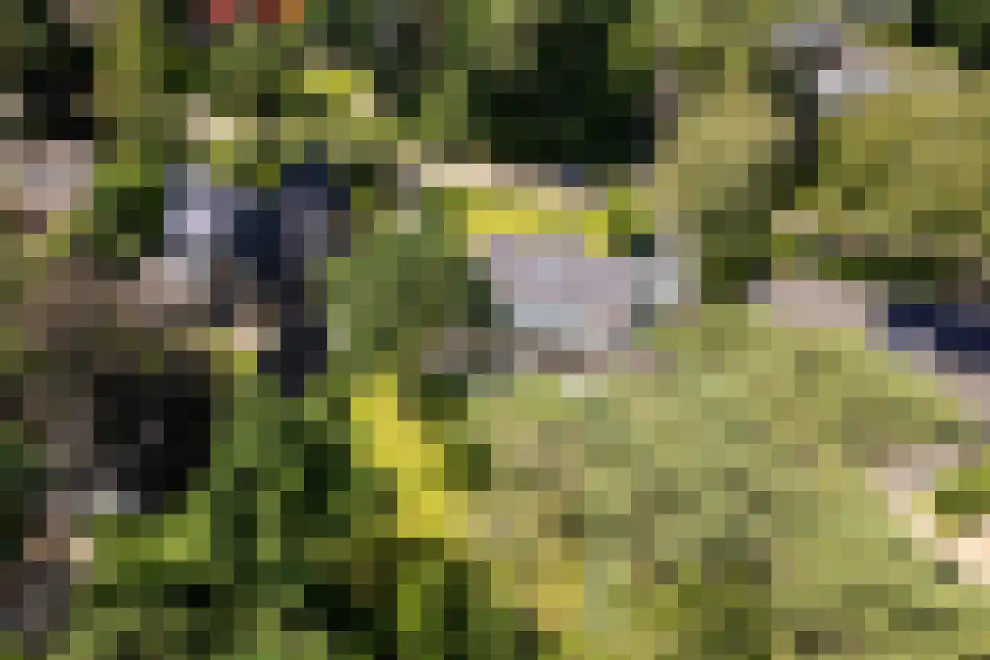 Regentesselaan 12 Ermelo thumbnail 52