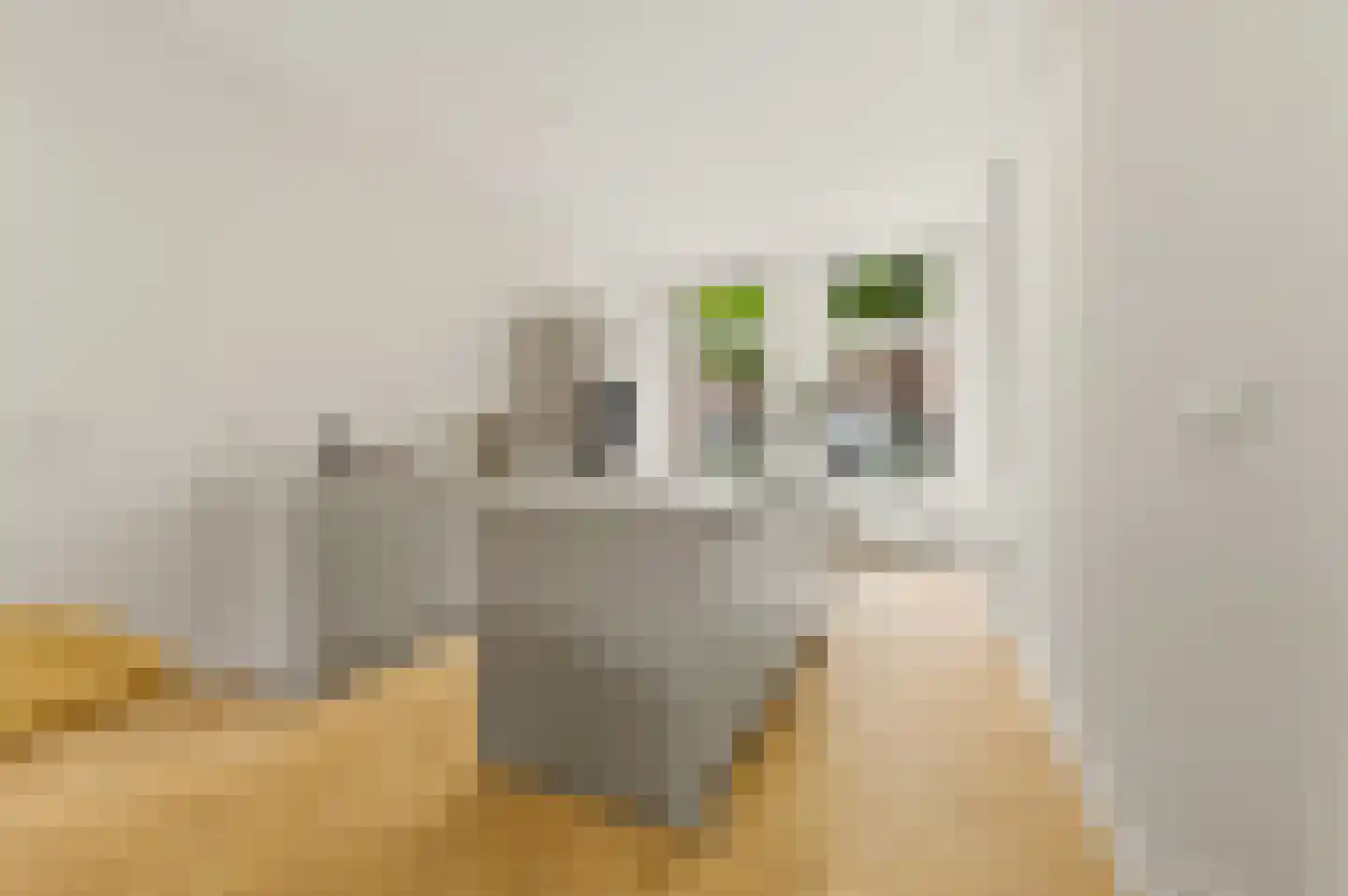Regentesselaan 132 Den Haag thumbnail 11