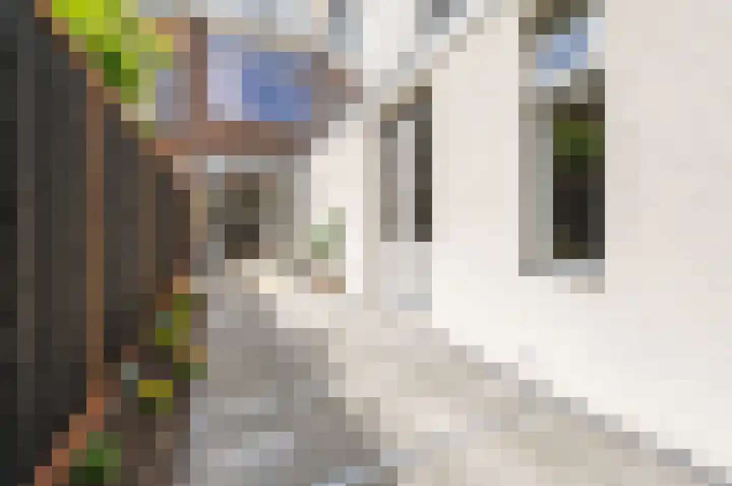 Regentesselaan 132 Den Haag thumbnail 14