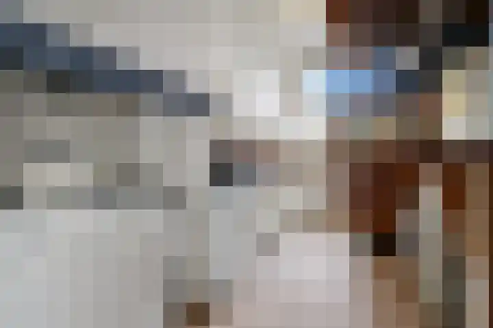 Regentesselaan 132 Den Haag thumbnail 17