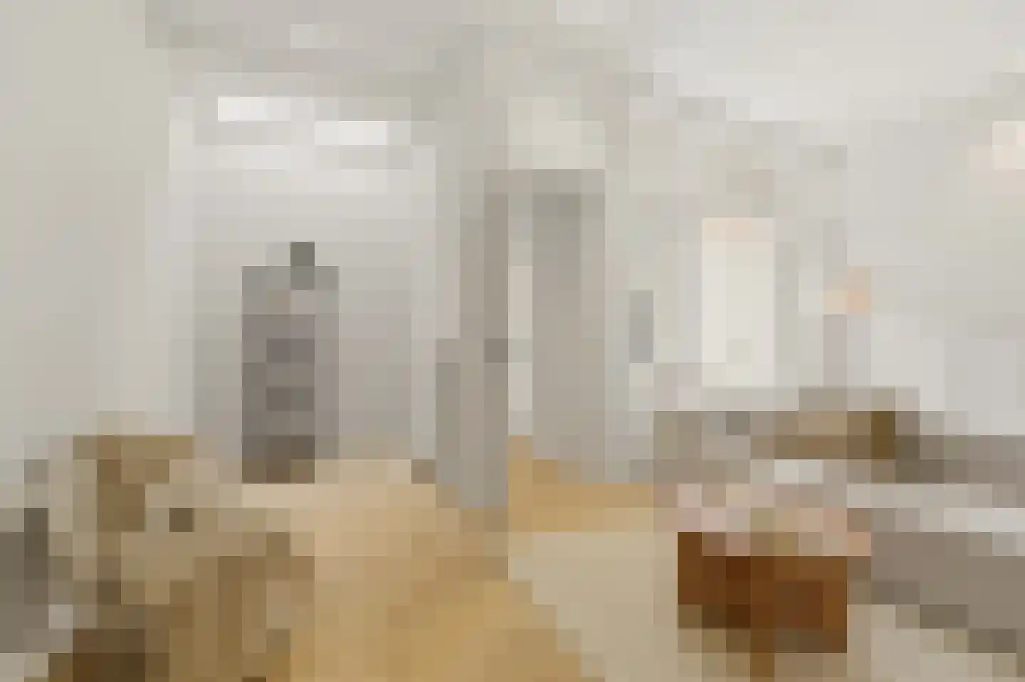 Regentesselaan 132 Den Haag thumbnail 6