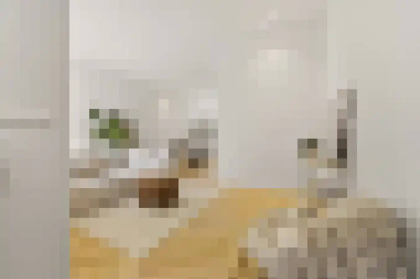 Regentesselaan 132 Den Haag thumbnail 7