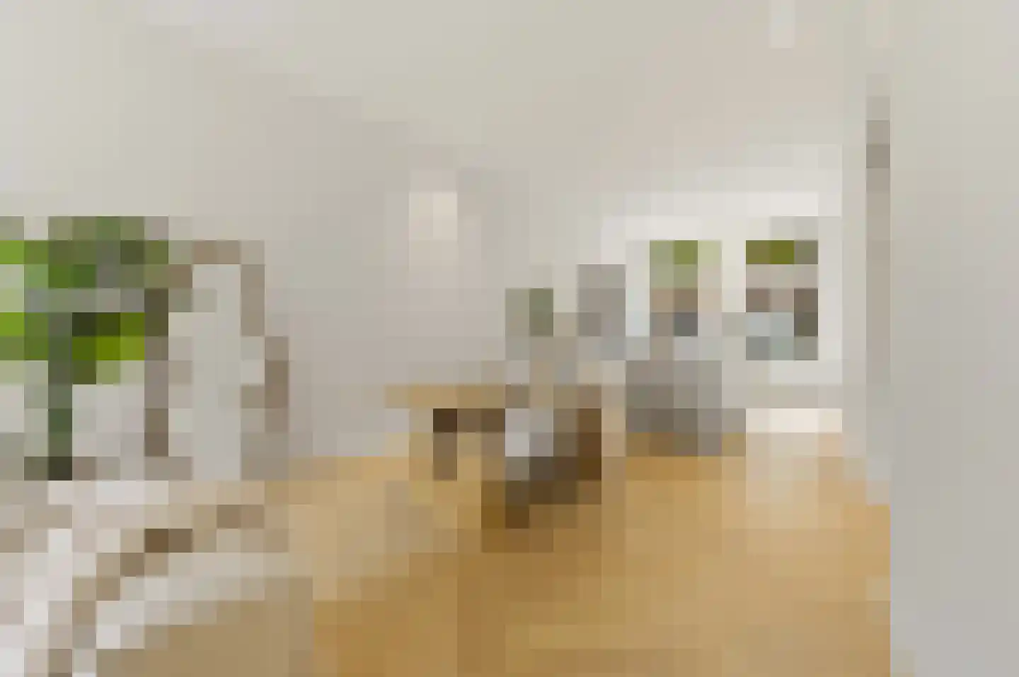 Regentesselaan 132 Den Haag thumbnail 9
