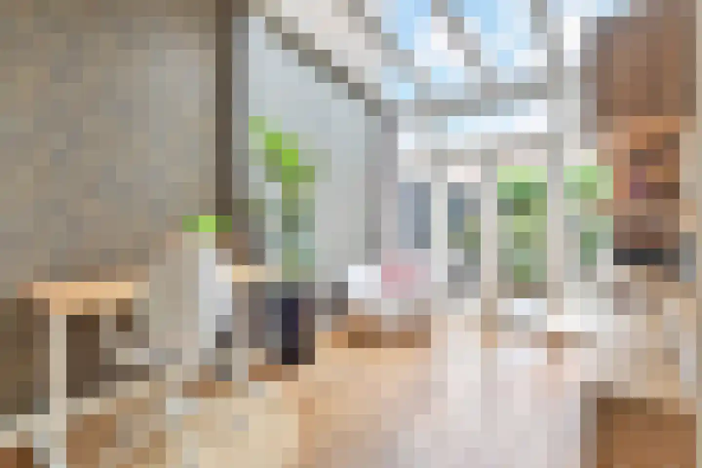 Regentesselaan 134 Den Haag thumbnail 14