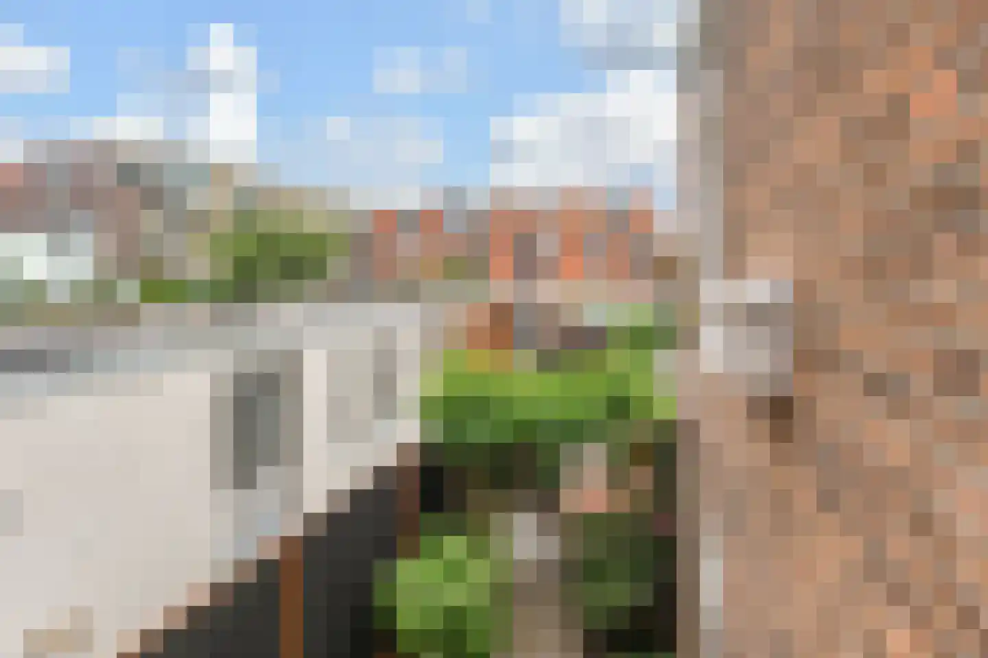 Regentesselaan 134 Den Haag thumbnail 27