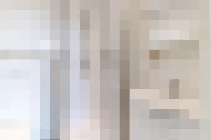 Regentesselaan 136 D Den Haag thumbnail 18