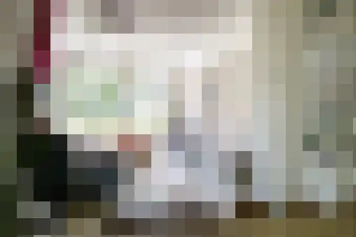 Regentesselaan 14 Haarlem thumbnail 13