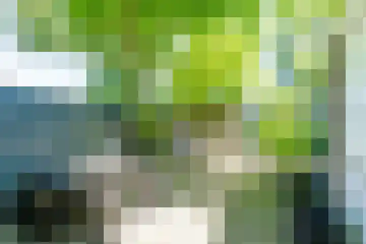 Regentesselaan 14 Haarlem thumbnail 20