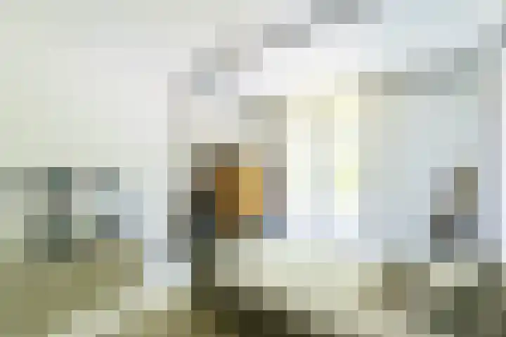 Regentesselaan 14 Haarlem thumbnail 30