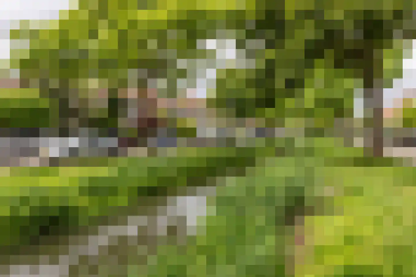 Regentesselaan 14 Haarlem thumbnail 42