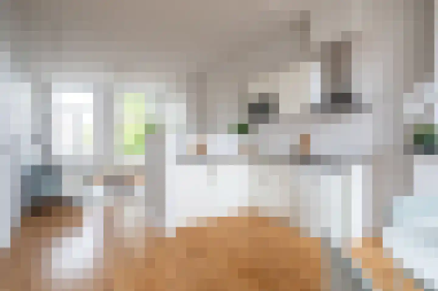 Regentesselaan 152 A Den Haag thumbnail 17