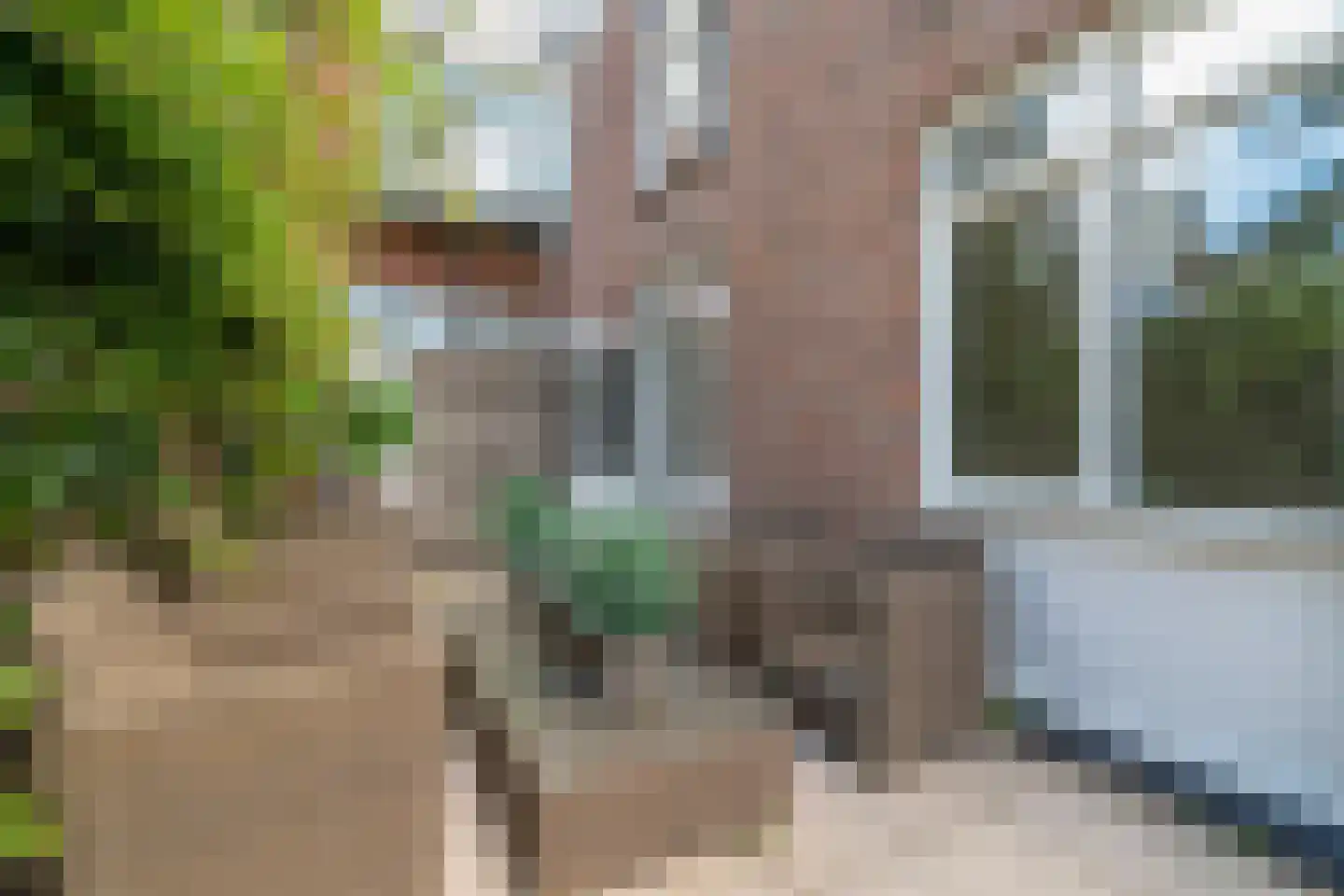 Regentesselaan 153 B Den Haag thumbnail 11