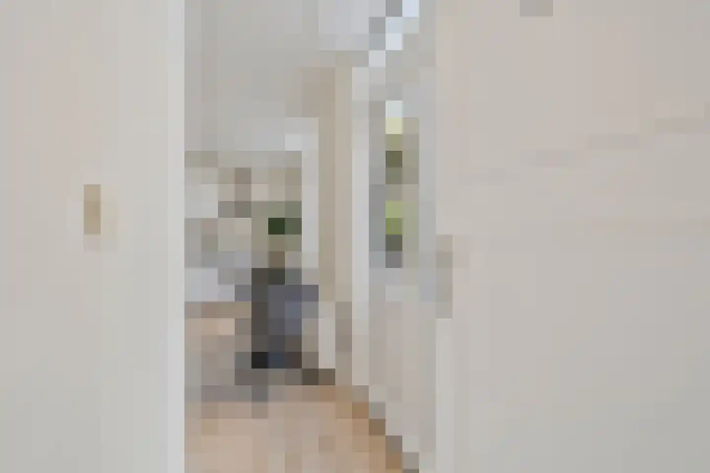 Regentesselaan 153 B Den Haag thumbnail 7