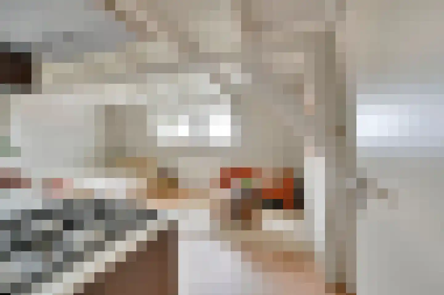 Regentesselaan 155 E Den Haag thumbnail 7