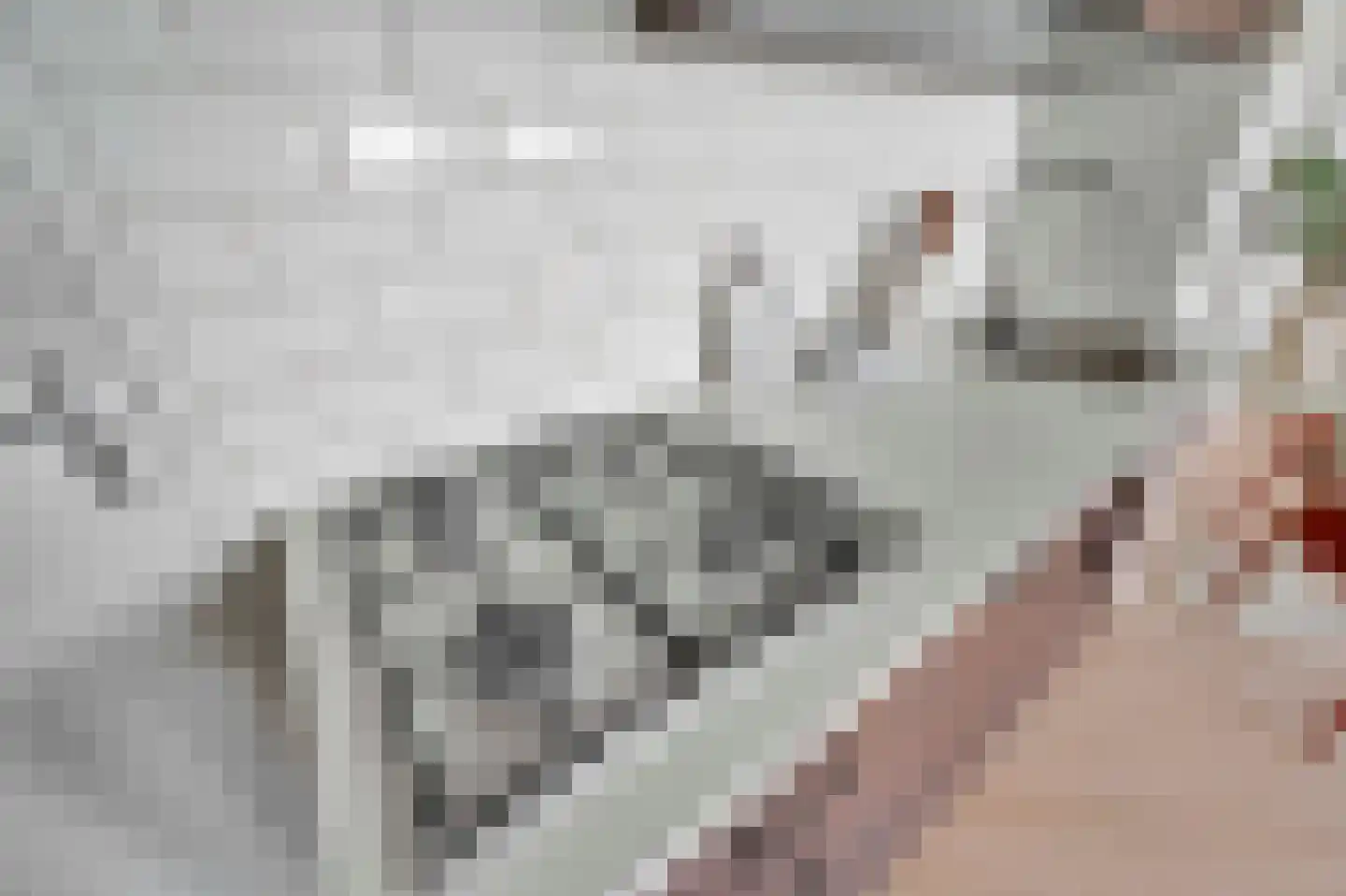 Regentesselaan 155 E Den Haag thumbnail 9