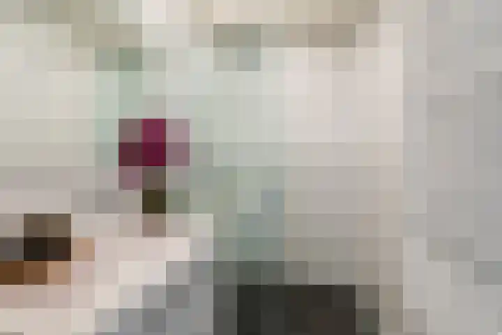 Regentesselaan 160 A Den Haag thumbnail 14