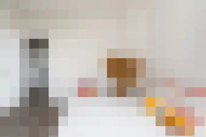Regentesselaan 160 Den Haag thumbnail 11