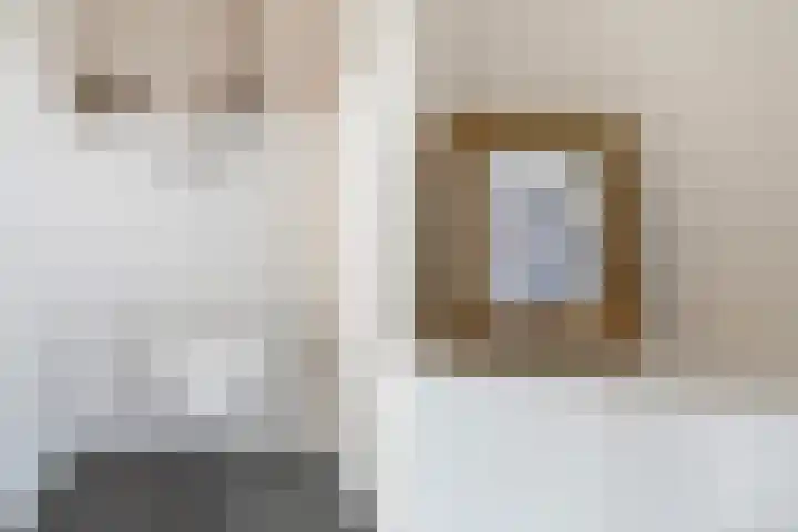 Regentesselaan 160 Den Haag thumbnail 16