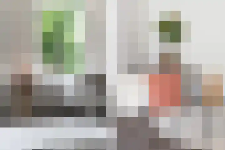 Regentesselaan 160 Den Haag thumbnail 5