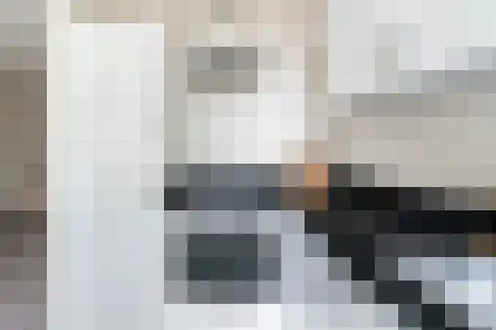 Regentesselaan 160 Den Haag thumbnail 8