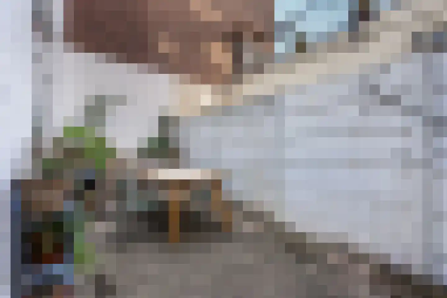 Regentesselaan 163 Den Haag thumbnail 18