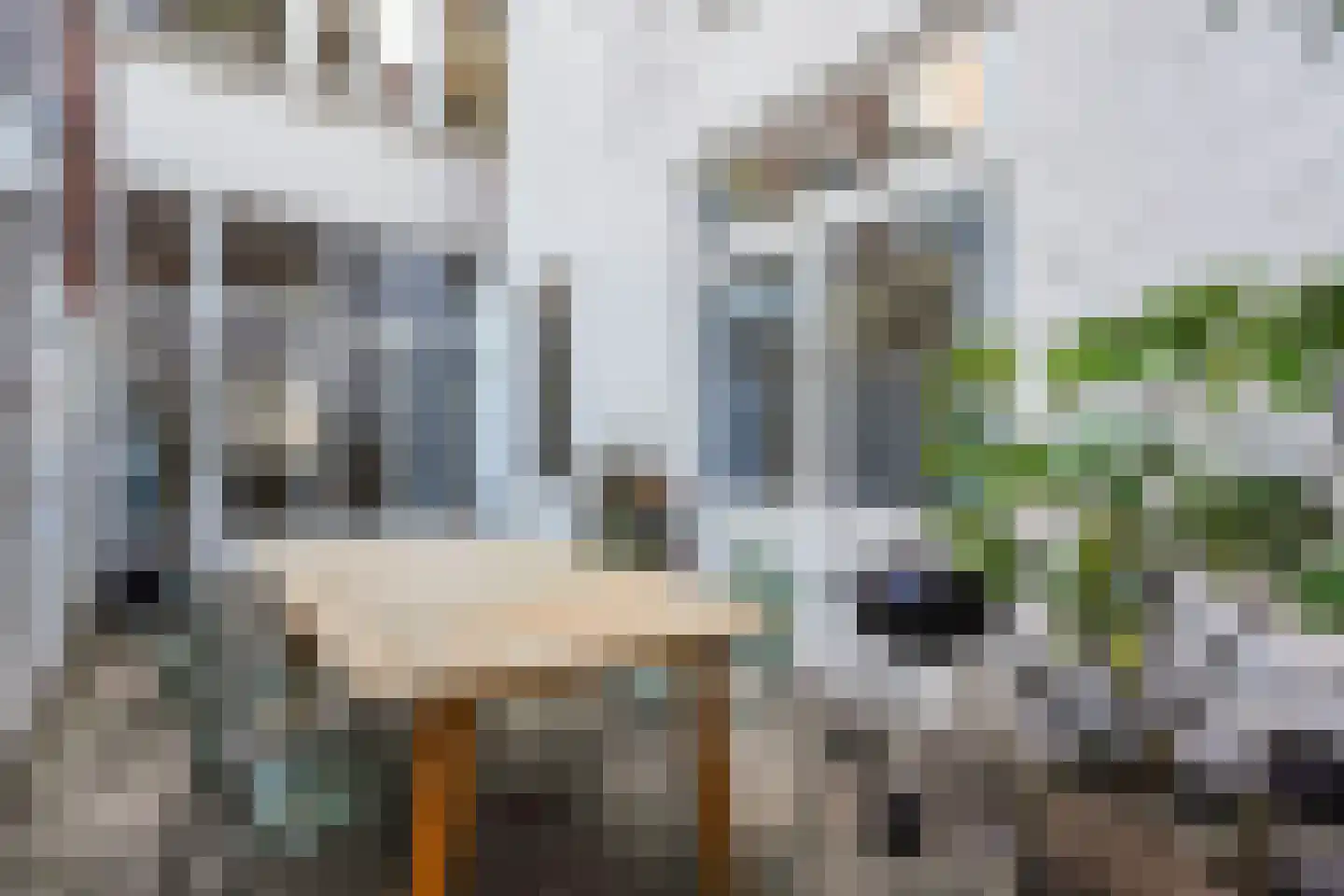 Regentesselaan 163 Den Haag thumbnail 19
