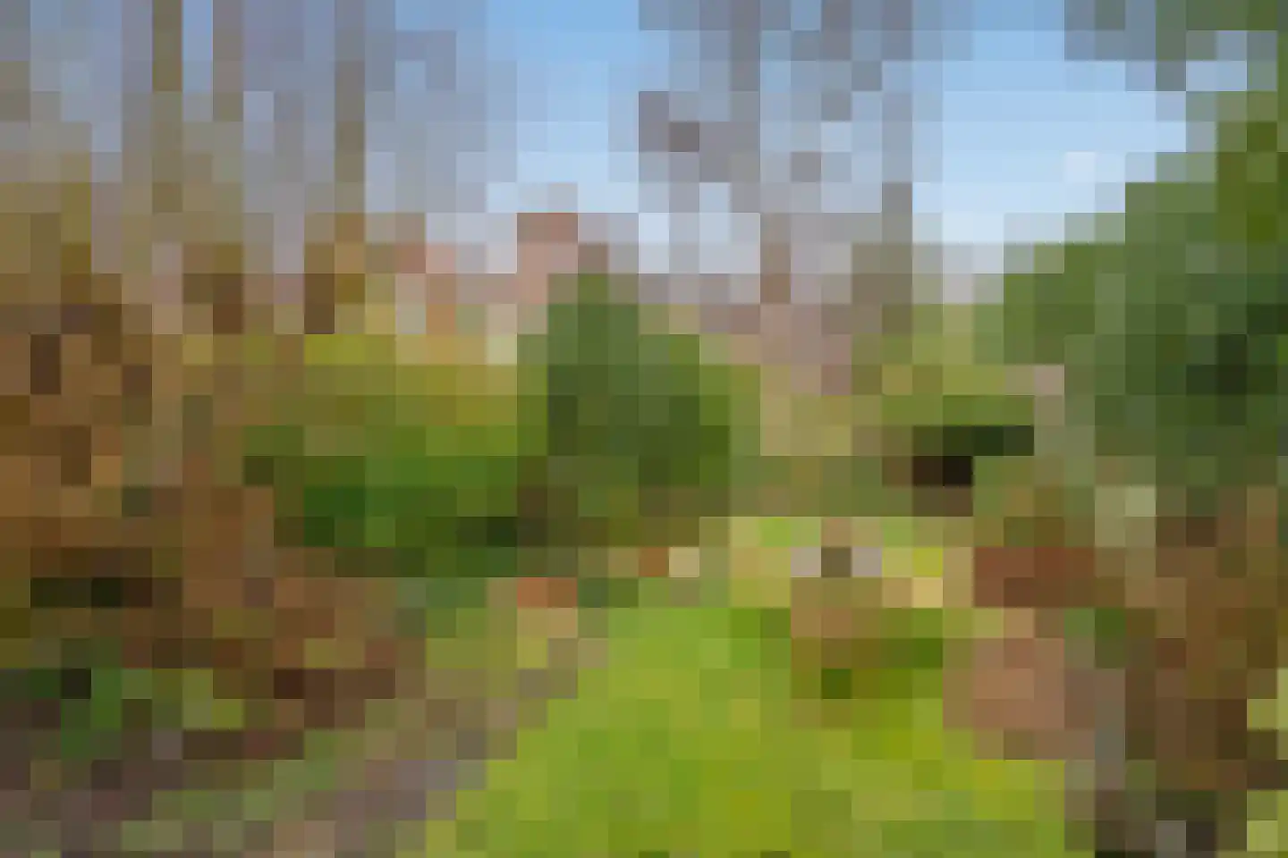 Regentesselaan 17 a Rijswijk thumbnail 20