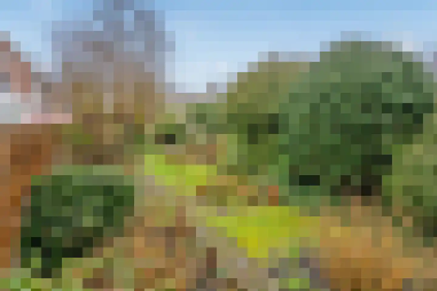 Regentesselaan 17 a Rijswijk thumbnail 21