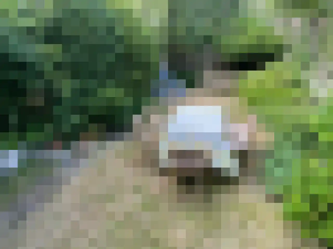Regentesselaan 17 a Rijswijk thumbnail 22