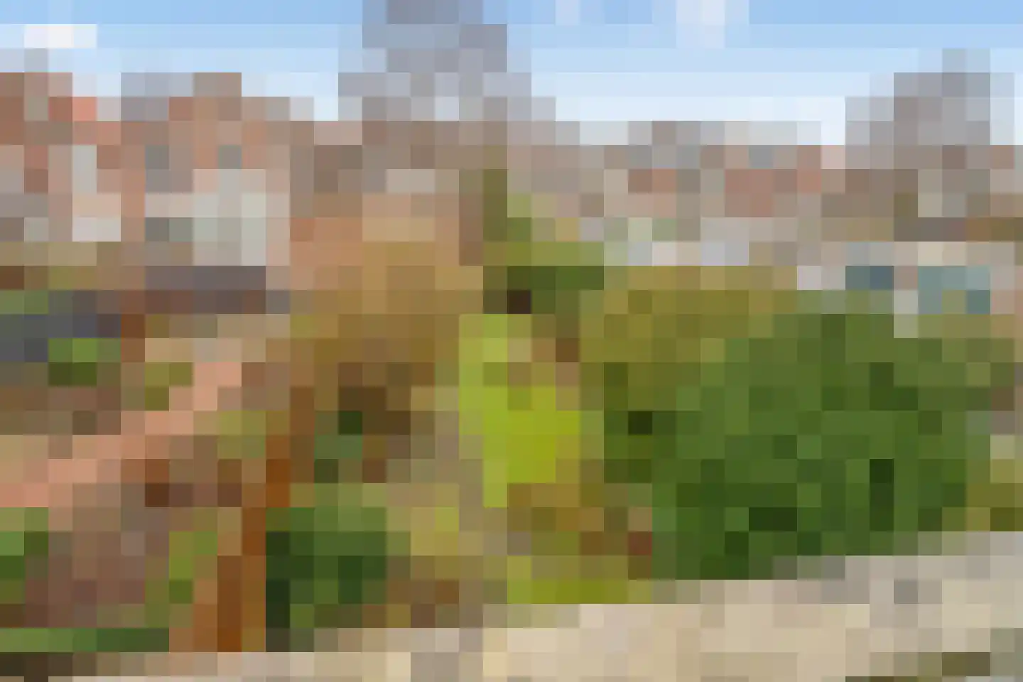 Regentesselaan 17 a Rijswijk thumbnail 29