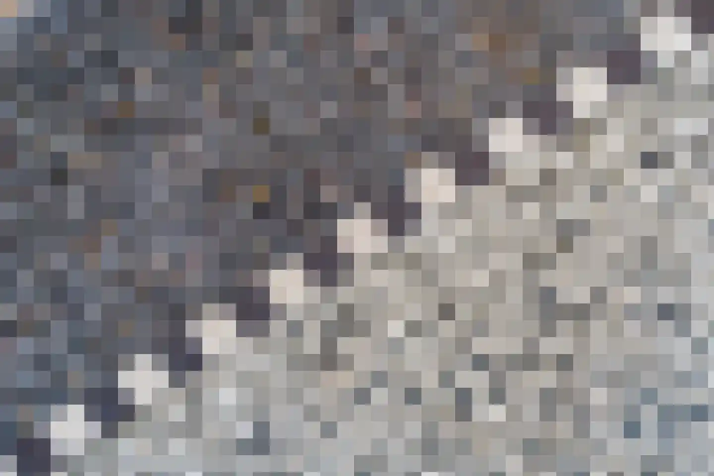 Regentesselaan 17 a Rijswijk thumbnail 9