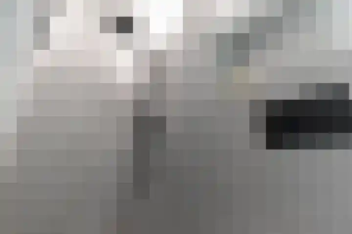 Regentesselaan 173 Den Haag thumbnail 11