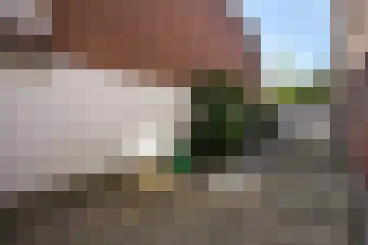 Regentesselaan 177 Den Haag thumbnail 24