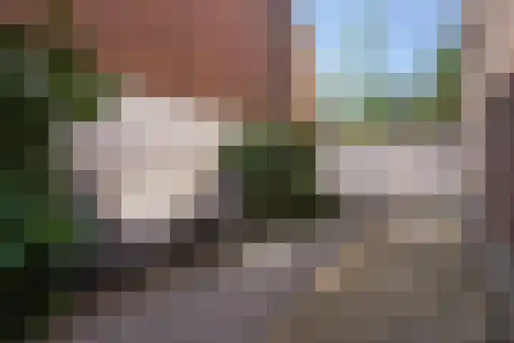 Regentesselaan 177 Den Haag thumbnail 4