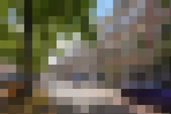 Regentesselaan 177 Den Haag thumbnail 41